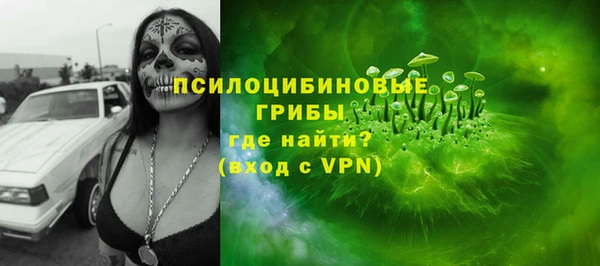 тгк Козельск