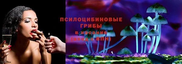 стаф Козловка