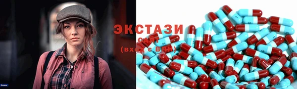 стаф Козловка
