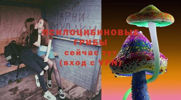 тгк Козельск