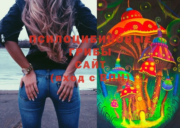 стаф Козловка