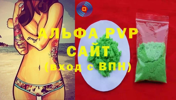 стаф Козловка