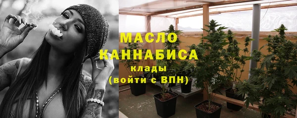 стаф Козловка