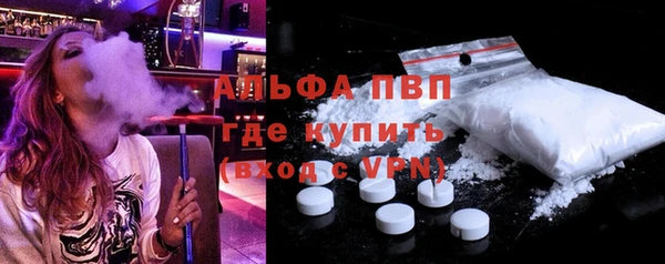 стаф Козловка