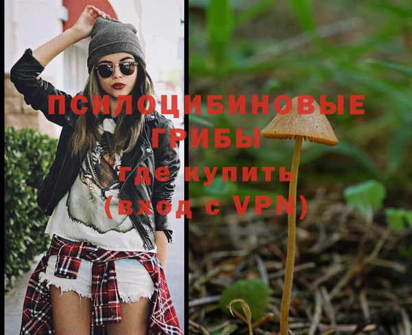 тгк Козельск