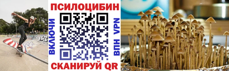 Купить  Константиновск  Псилоцибиновые грибы MAGIC MUSHROOMS 